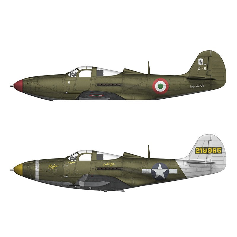 1/72 P-39Q Airacobra
