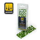 Matojos de Dos Colores - Principios de Verano