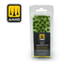 Matojos de Dos Colores - Principios de Verano