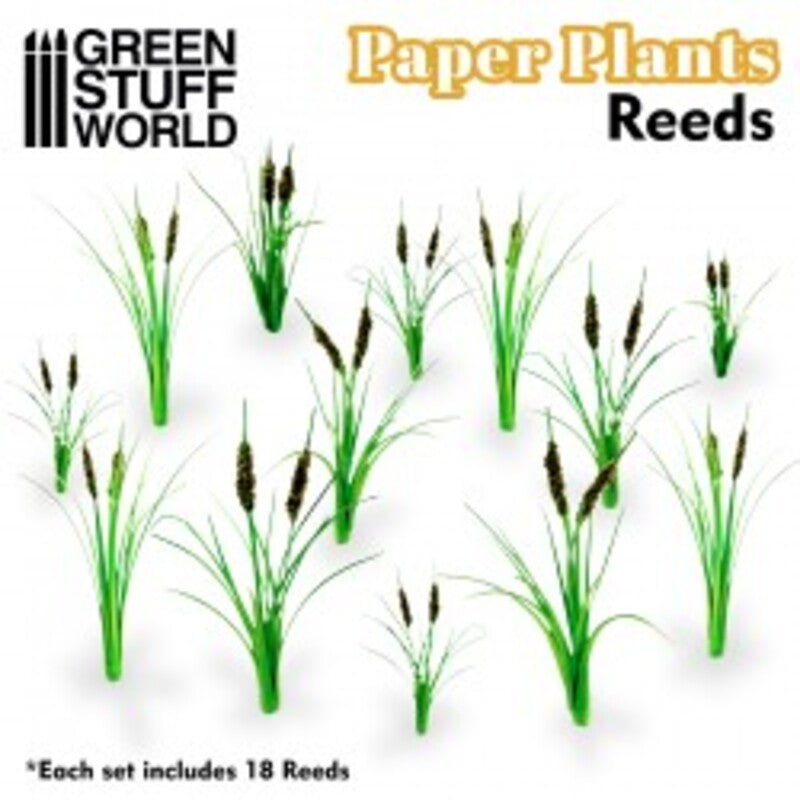 Hojas de plantas de papel JUNCOS