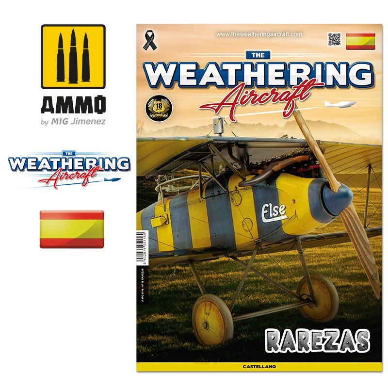 The weathering aircraft  N 16 - Rarezas