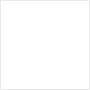 Pintura White