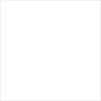 Pintura White