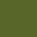 Pintura Olivgrun Olive Green RAL 6003