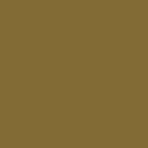 Pintura Grunbraun RAL 8000