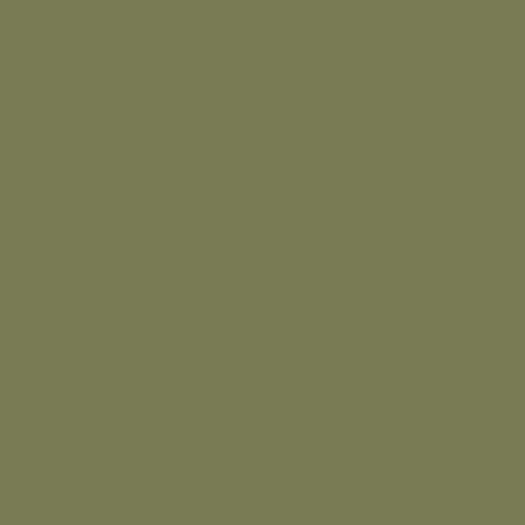Pintura US Army Olive Drab Faded 1 FS 34088