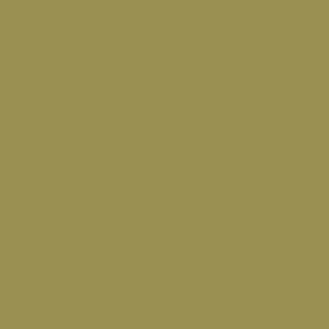 Pintura US Army Olive Drab Faded 3