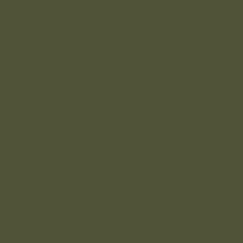 Pintura US Army Olive Drab FS 33070