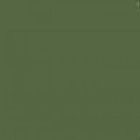 Pintura Russian Dark Olive 2