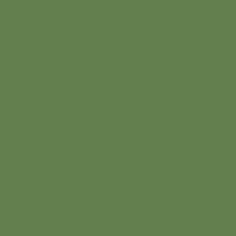 Pintura US Interior Green FS 34151