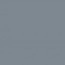 Pintura Dark Gull Grey FS 36231