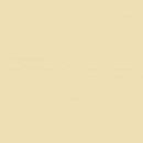 Pintura Radome Tan FS 33613