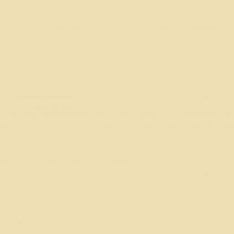 Pintura Radome Tan FS 33613 | RamScale
