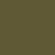 Pintura Olive Drab 41 USAAF WWII USAF